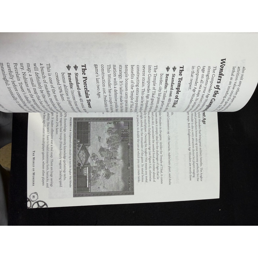 Sybex Rise of Nations Strategy Guide OS EUC PC RTS Book Michael Rymaszewski - Picture 4 of 5